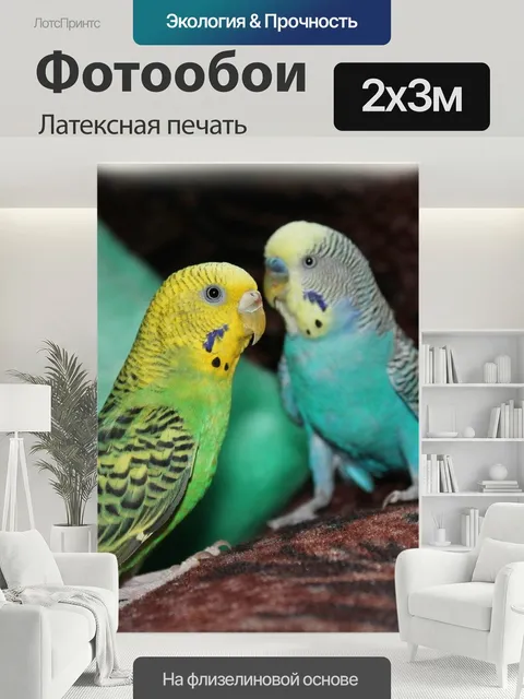 200 × 300 см · Латексная печать