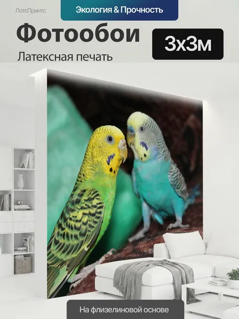 300 × 300 см · Латексная печать