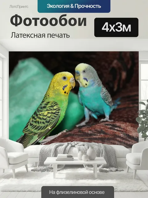 400 × 300 см · Латексная печать