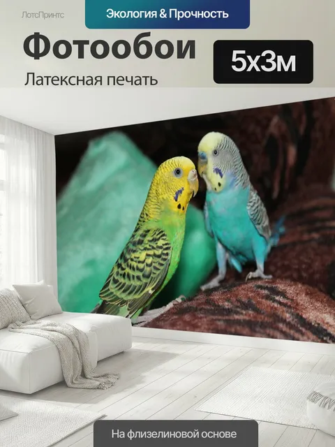 500 × 300 см · Латексная печать
