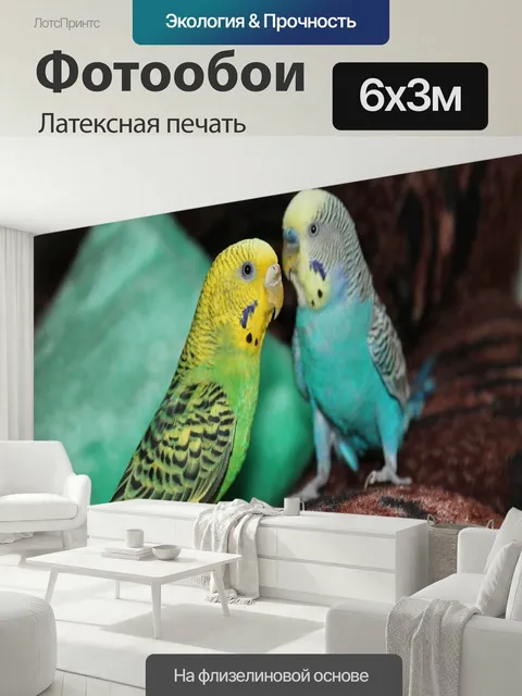 600 × 300 см · Латексная печать