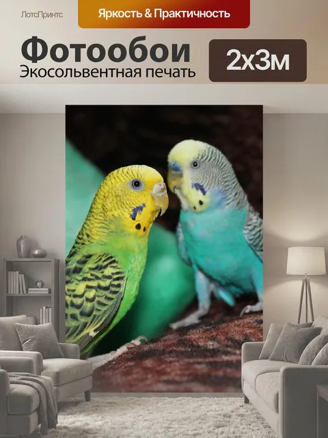 200 × 300 см · Экосольвентная печать