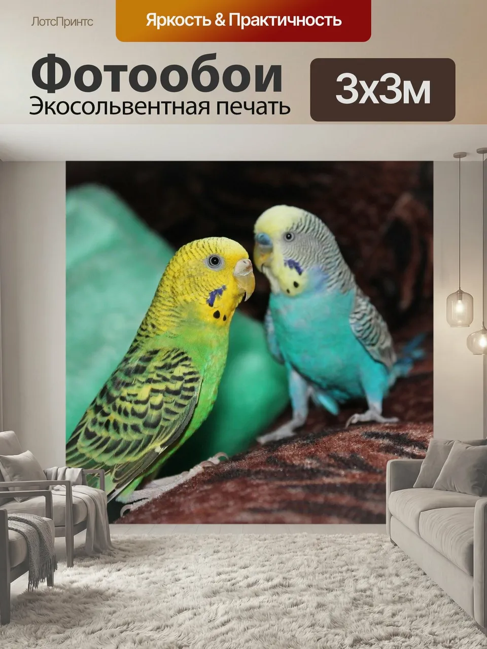 Фотообои Птицы, питомцы, попугай