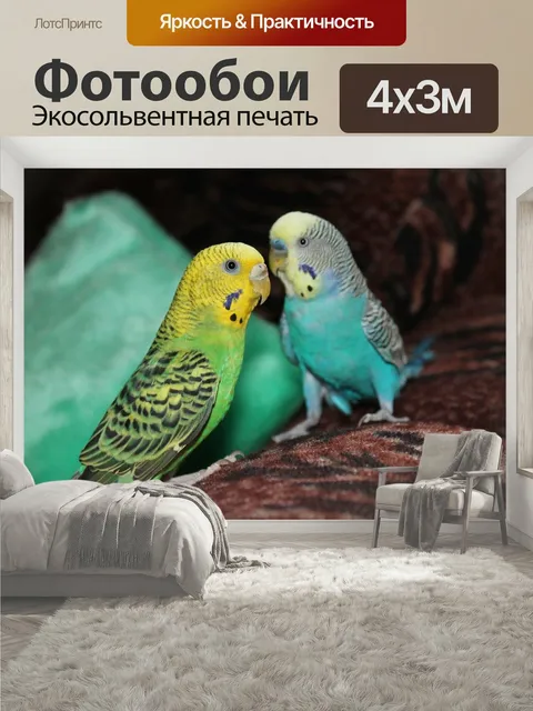400 × 300 см · Экосольвентная печать