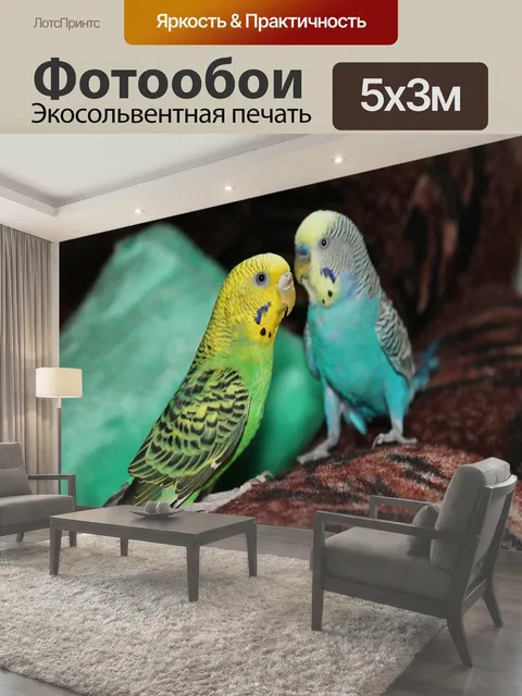 500 × 300 см · Экосольвентная печать