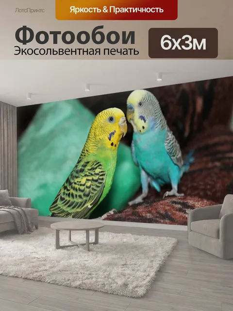600 × 300 см · Экосольвентная печать