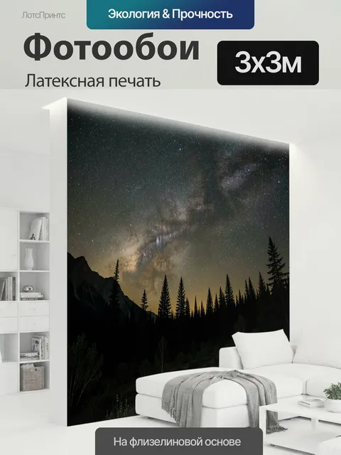300 × 300 см · Латексная печать