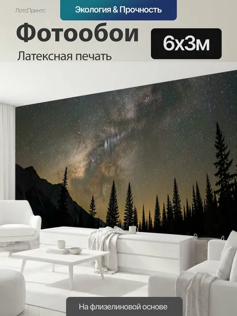 600 × 300 см · Латексная печать