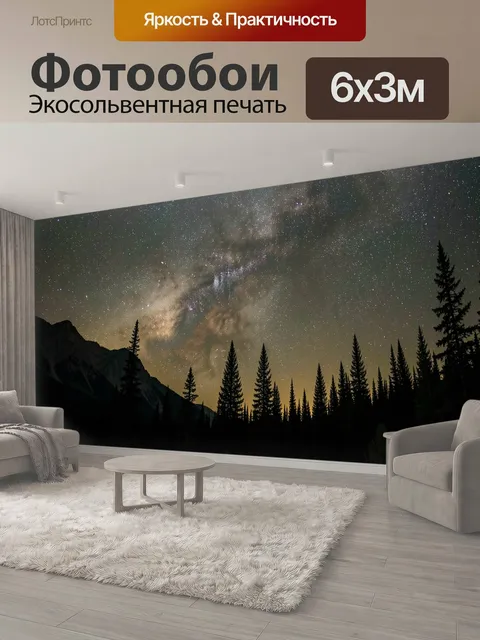 600 × 300 см · Экосольвентная печать