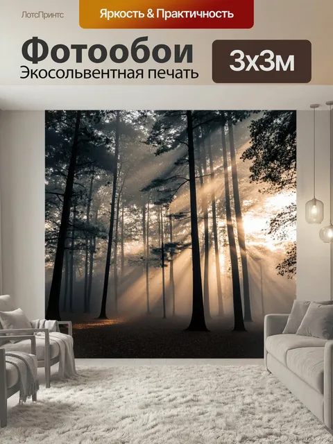 Фотообои Горизонтальный пейзаж с высокими деревьями, которые накрыты утрен…