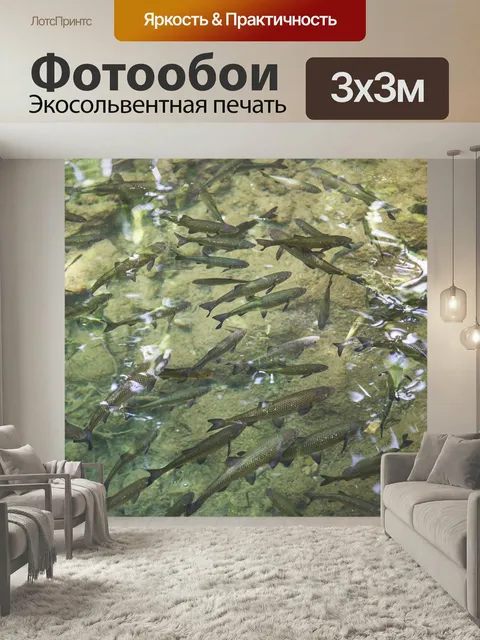 Фотообои Рыбы, очистить, озеро
