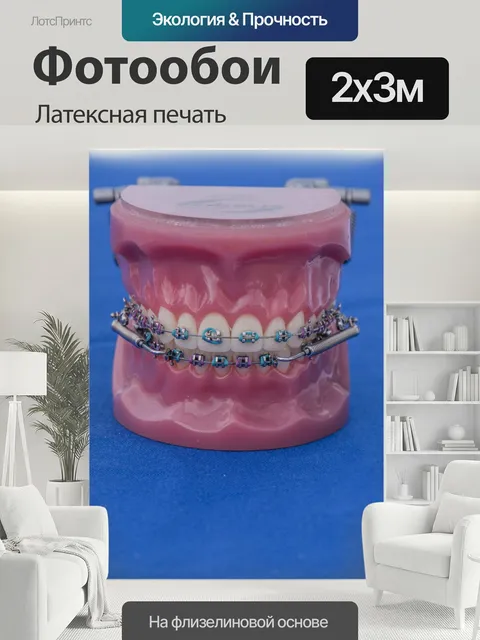 200 × 300 см · Латексная печать