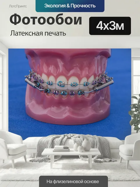 400 × 300 см · Латексная печать