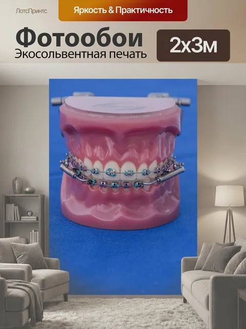 200 × 300 см · Экосольвентная печать