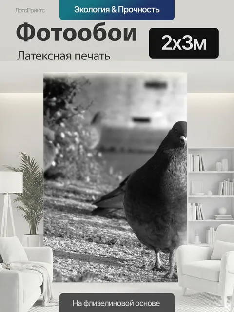 200 × 300 см · Латексная печать