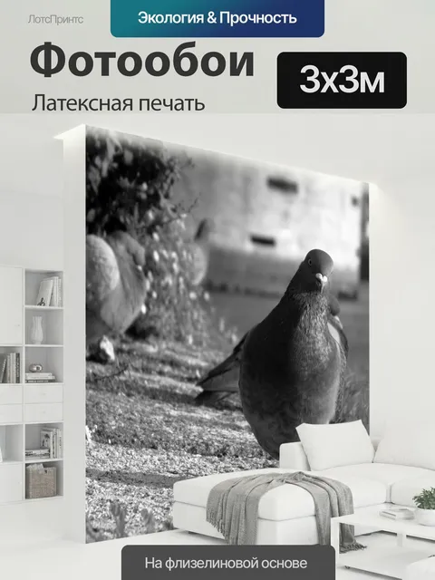 300 × 300 см · Латексная печать