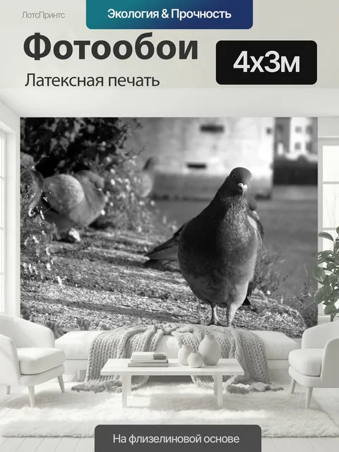 400 × 300 см · Латексная печать