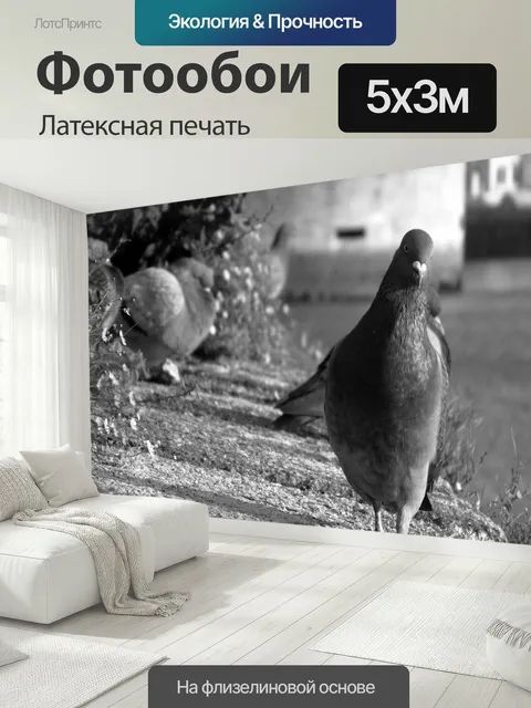 500 × 300 см · Латексная печать