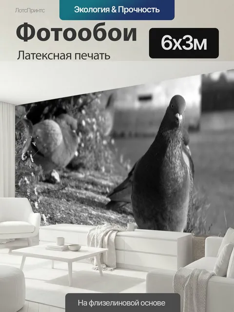 600 × 300 см · Латексная печать