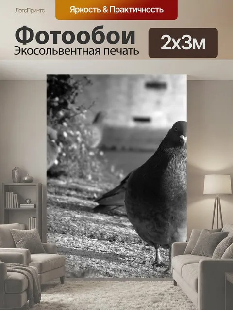 200 × 300 см · Экосольвентная печать