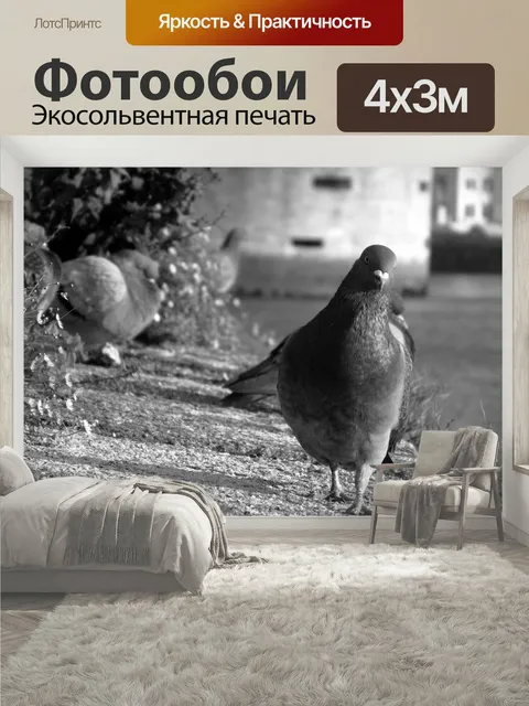 400 × 300 см · Экосольвентная печать
