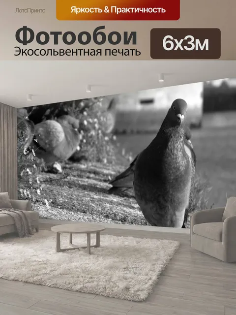 600 × 300 см · Экосольвентная печать