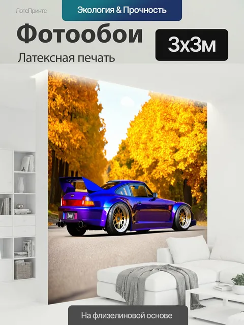 300 × 300 см · Латексная печать