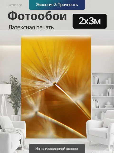 200 × 300 см · Латексная печать