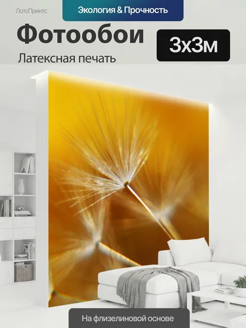 300 × 300 см · Латексная печать
