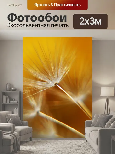 200 × 300 см · Экосольвентная печать