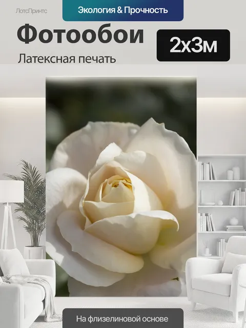 200 × 300 см · Латексная печать
