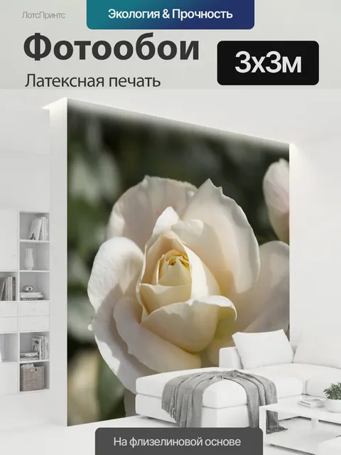 300 × 300 см · Латексная печать