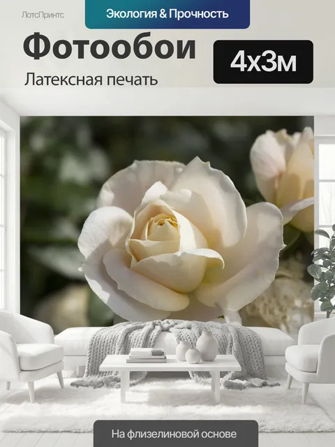 400 × 300 см · Латексная печать