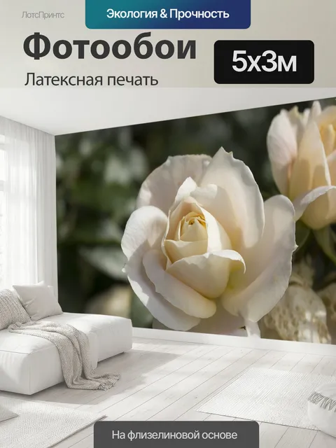 500 × 300 см · Латексная печать