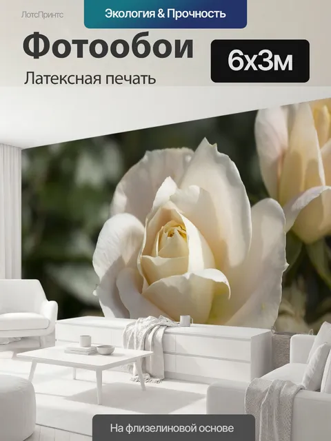 600 × 300 см · Латексная печать