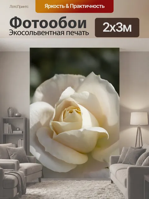 200 × 300 см · Экосольвентная печать