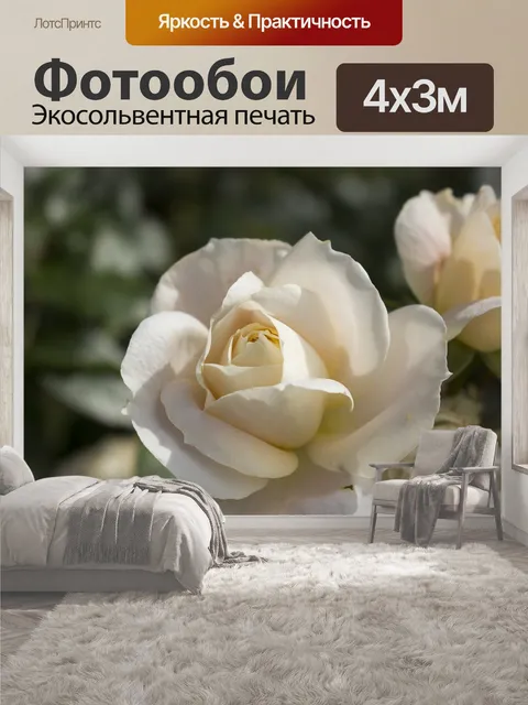 400 × 300 см · Экосольвентная печать