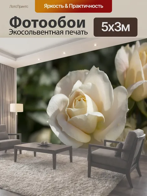 500 × 300 см · Экосольвентная печать