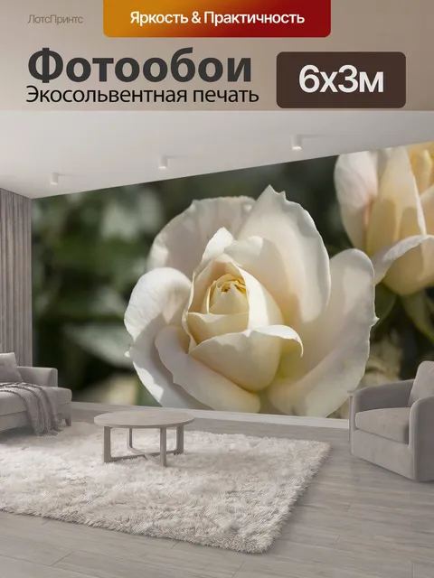 600 × 300 см · Экосольвентная печать