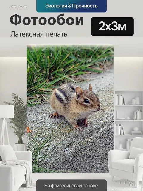 200 × 300 см · Латексная печать