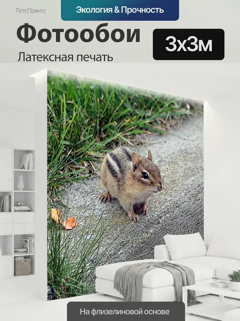 300 × 300 см · Латексная печать