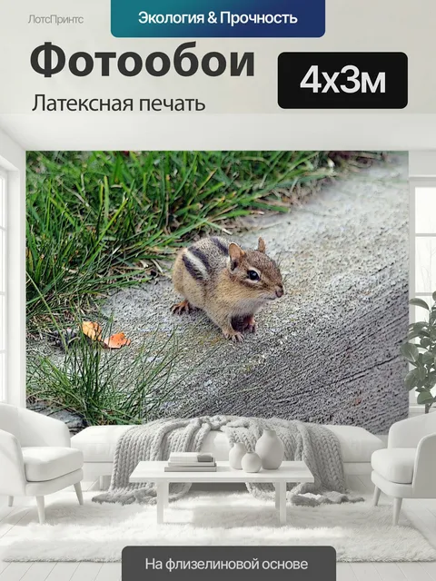 400 × 300 см · Латексная печать