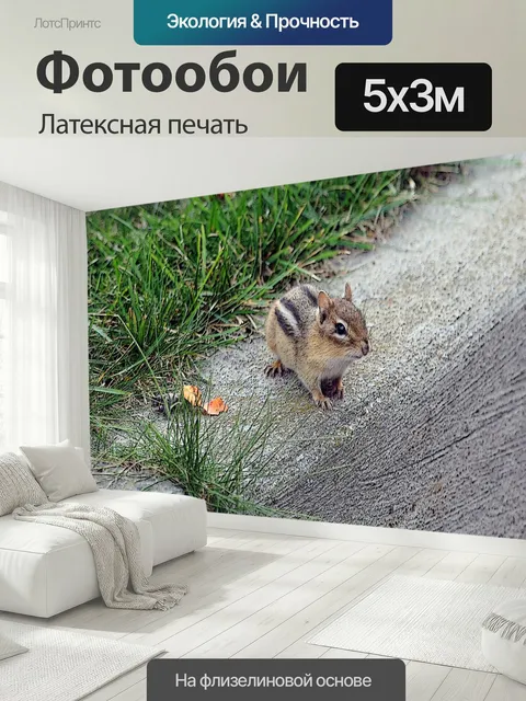 500 × 300 см · Латексная печать