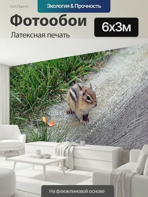 600 × 300 см · Латексная печать
