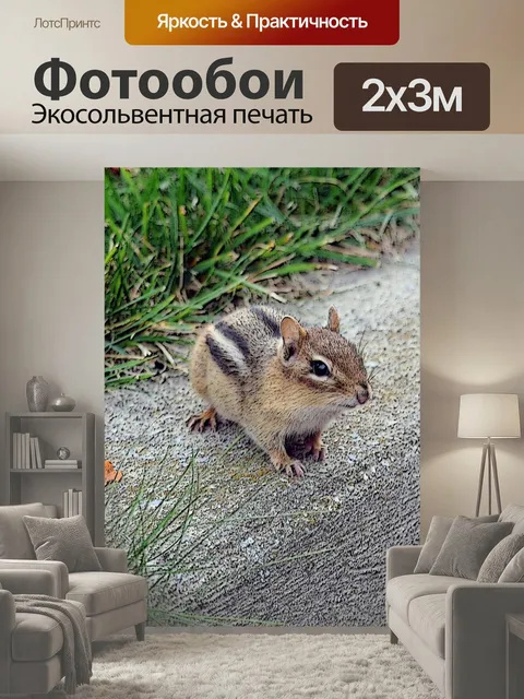 200 × 300 см · Экосольвентная печать