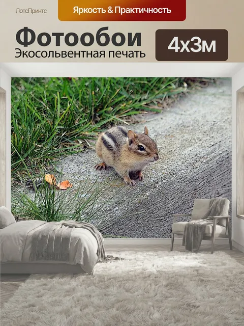 400 × 300 см · Экосольвентная печать