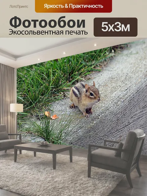 Фотообои Любопытный Бурундук Симпатичные