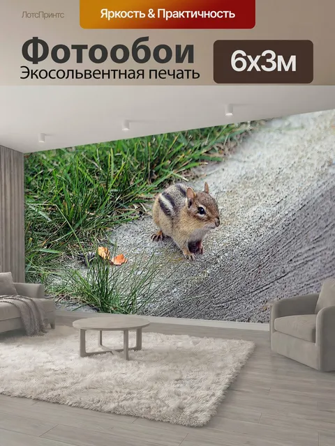 600 × 300 см · Экосольвентная печать