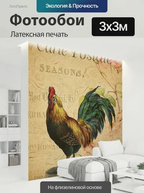 300 × 300 см · Латексная печать
