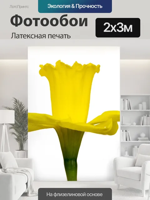 200 × 300 см · Латексная печать